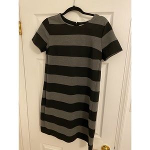 LOFT short shift dress!